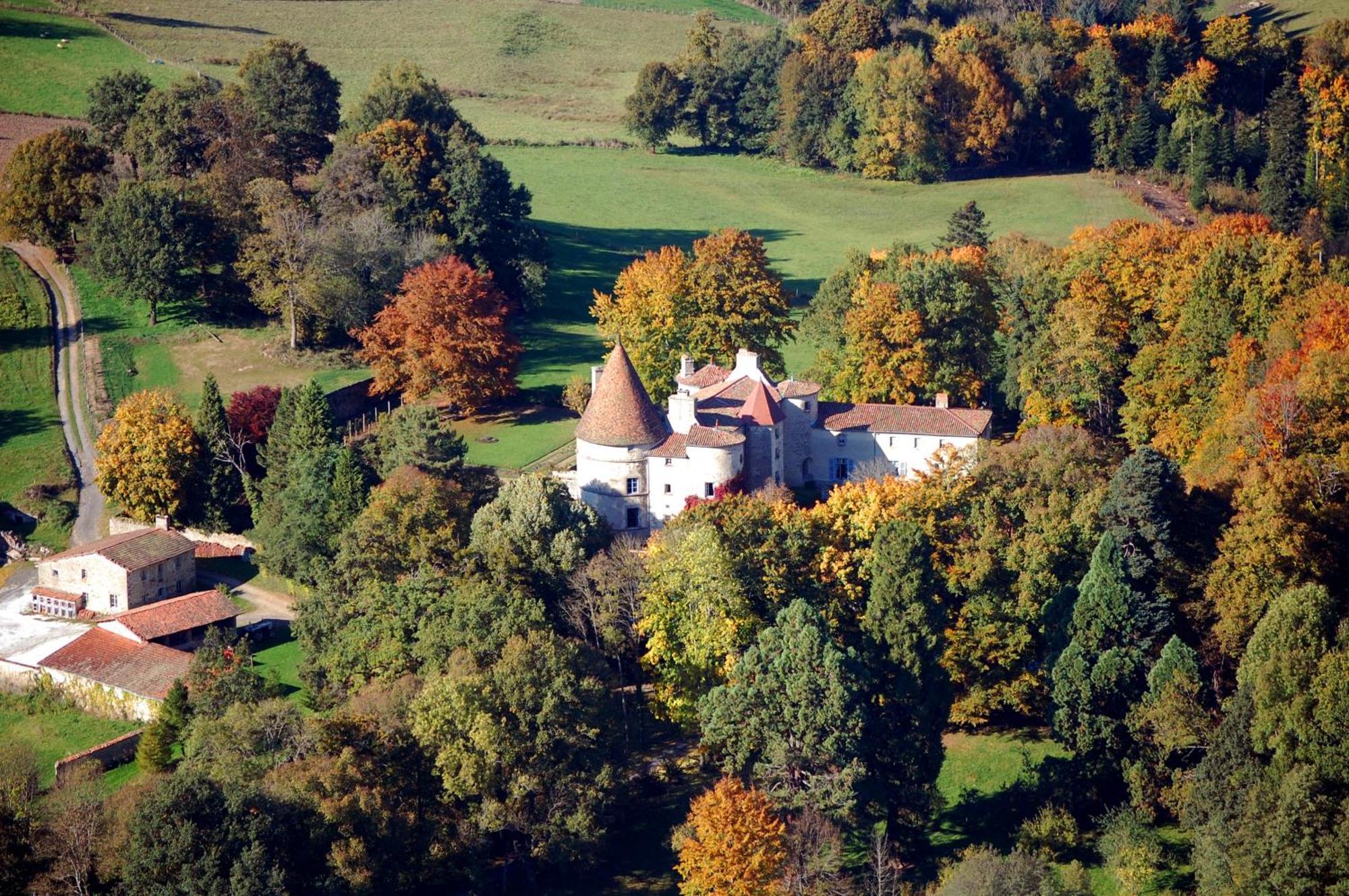 Chateau Des Martinanches Bed & Breakfast Saint-Dier-d'Auvergne Exterior photo