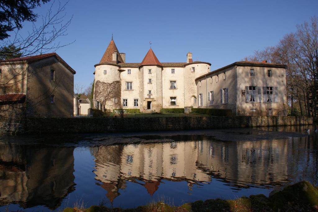 Chateau Des Martinanches Bed & Breakfast Saint-Dier-d'Auvergne Exterior photo